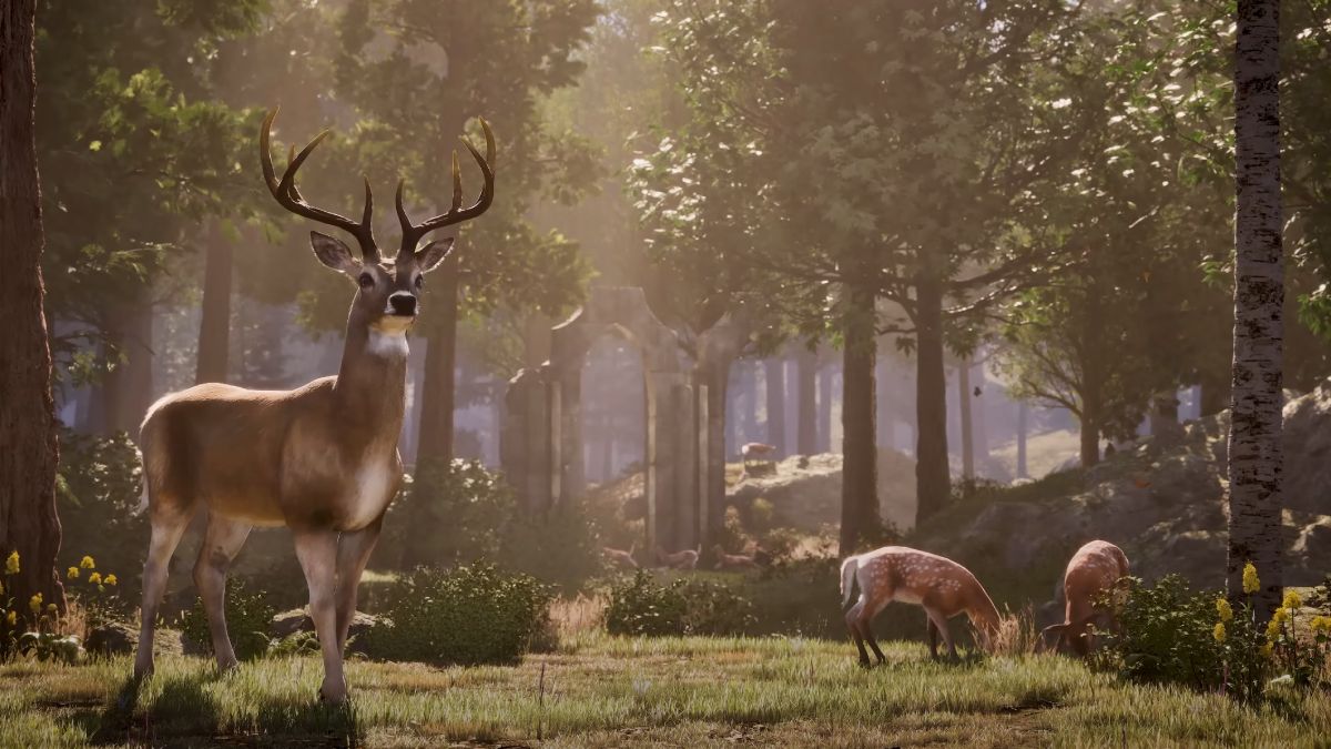 Oblivion Remaster Graphics